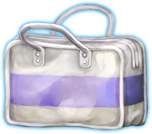 PE Bag (Mystery Files).png