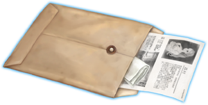 Brown Envelope (Mystery Files).png